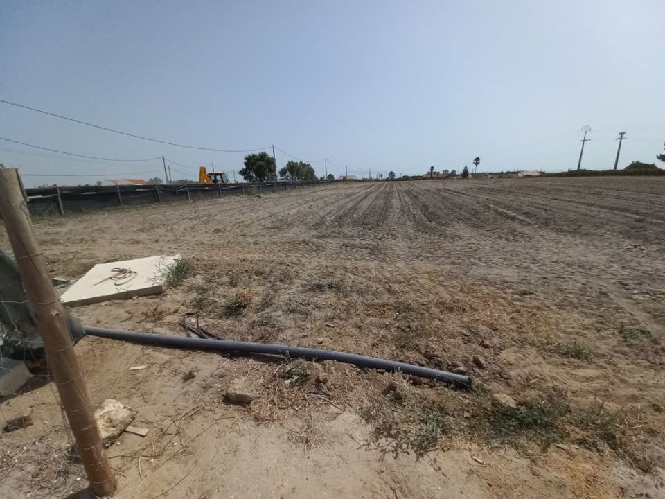 Land in Palmela, Setubal - photo 3