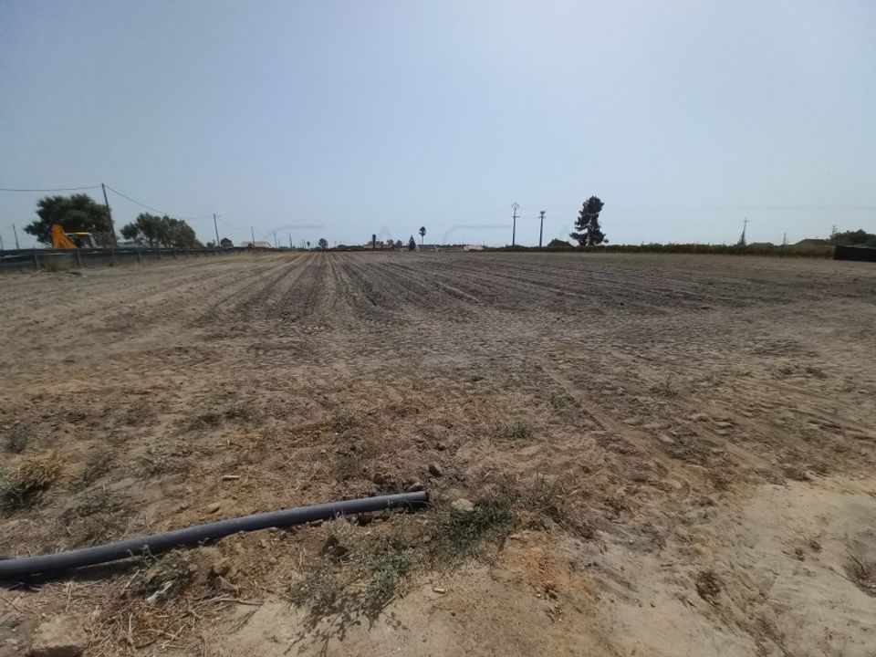 Land in Palmela, Setubal - photo 4