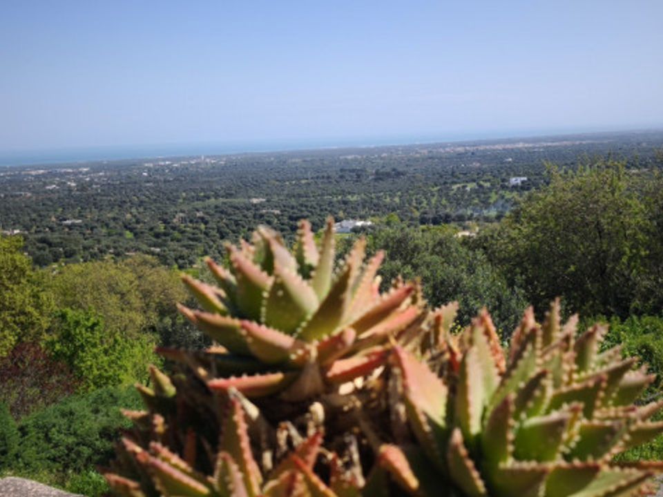 Villa i Fasano, Brindisi - foto 2