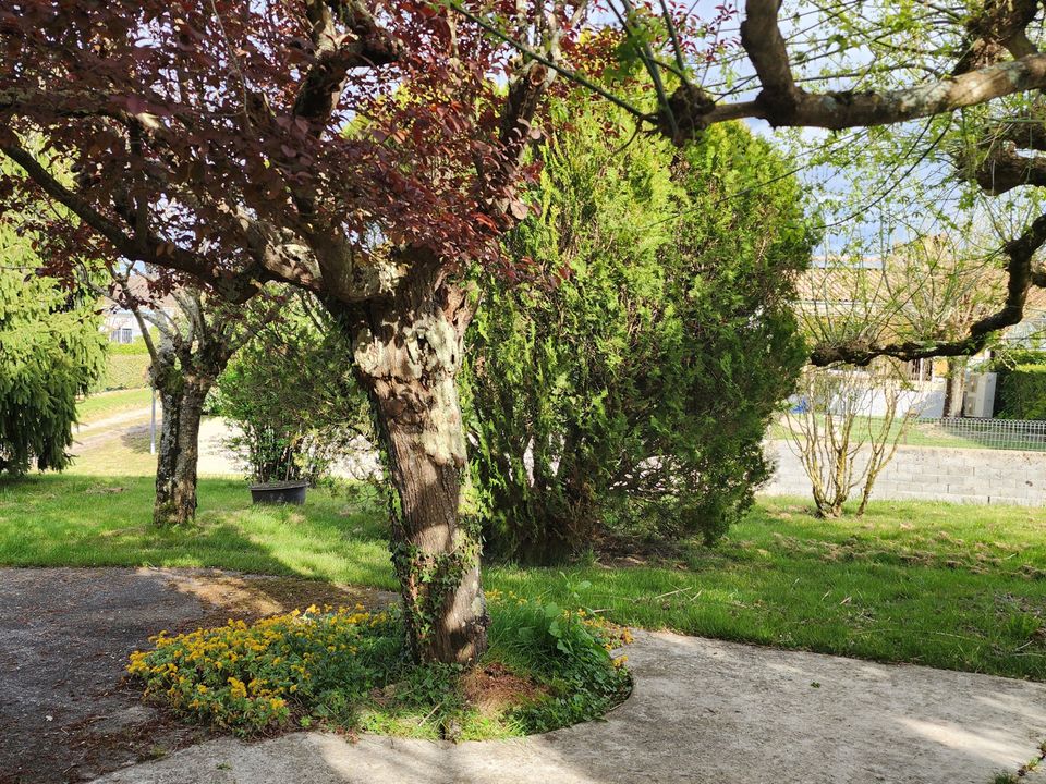 Villa i Miramont-de-Guyenne, Lot-et-Garonne - foto 3