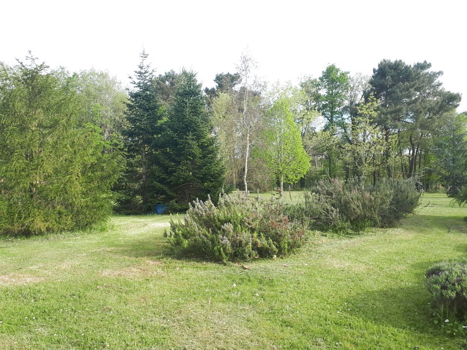 Villa i Ciran, Indre-et-Loire - foto 3