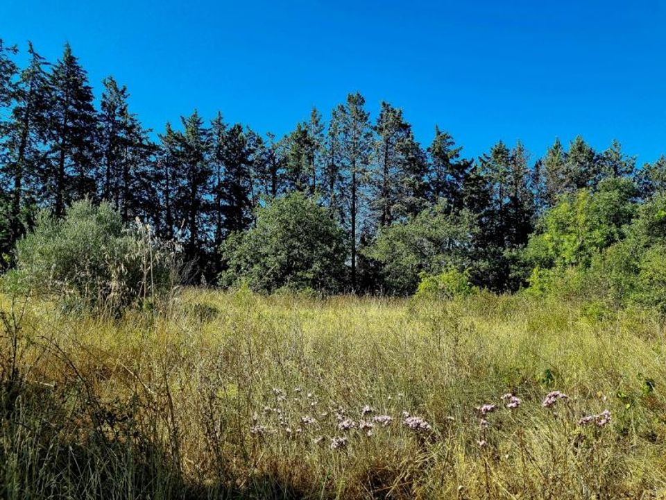 Land in Pouzols, Herault - photo 4