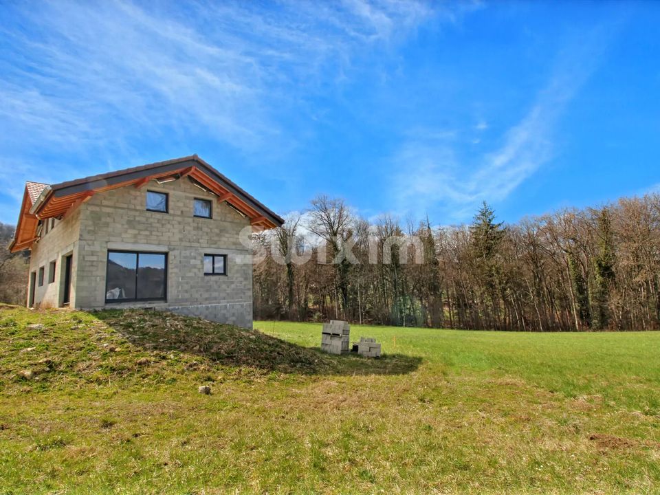 Villa i Saint-Jean-de-Tholome, Haute-Savoie - foto 3