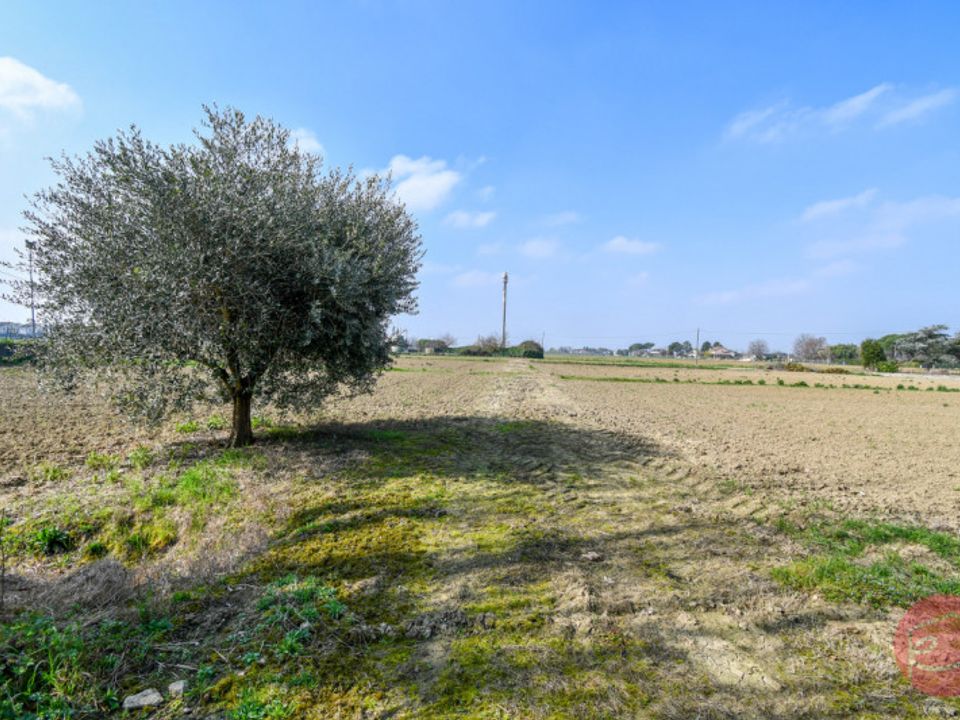 Villa i Cesena, Forli-Cesena - foto 5