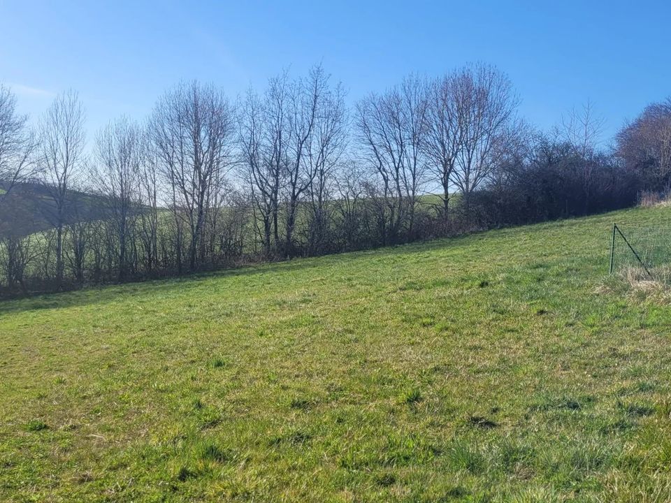 Helårsgrund i Terre-de-Bancalie, Tarn - foto 3