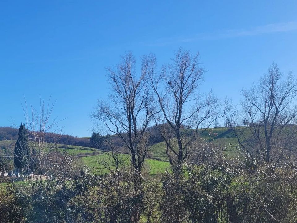 Helårsgrund i Terre-de-Bancalie, Tarn - foto 5