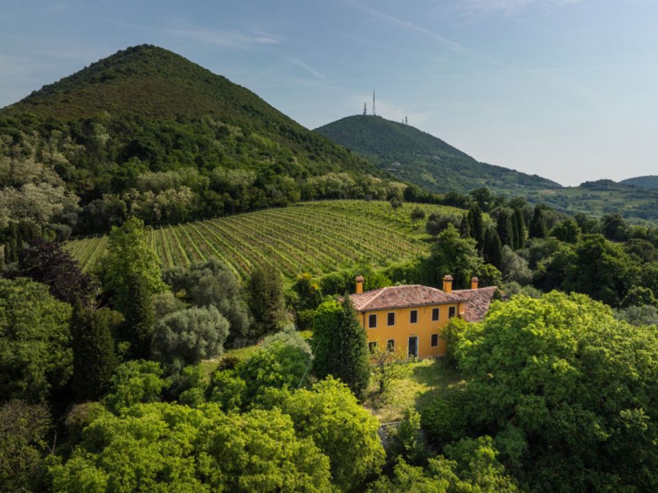 Landejendom i Cinto Euganeo, Padua - foto 1