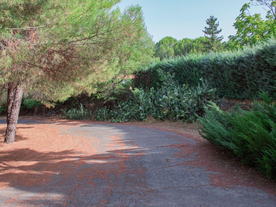 Cortijo: Plasencia, Caceres – zdjęcie 5