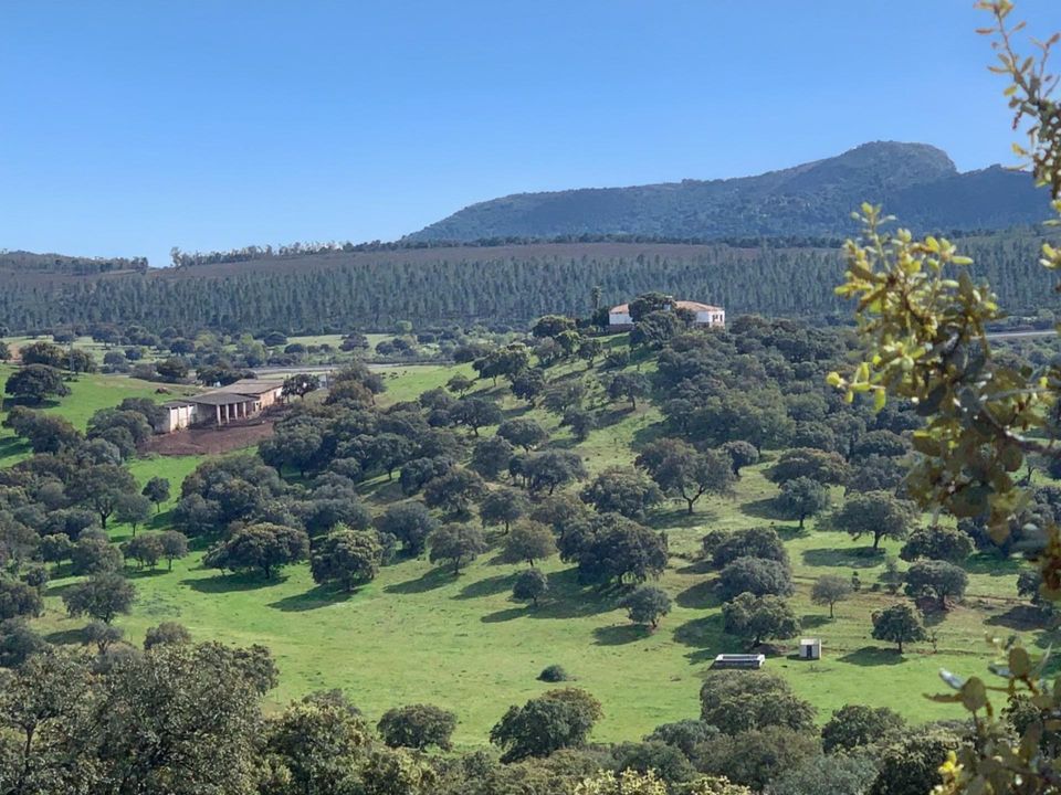 Helårsgrund i Garbayuela, Badajoz - foto 1