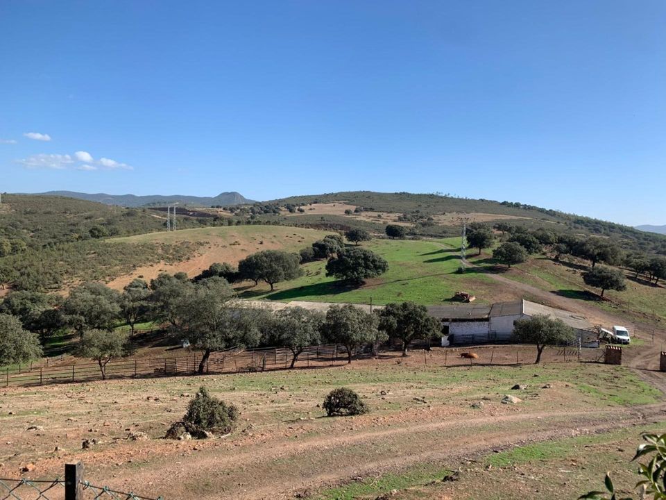 Helårsgrund i Garbayuela, Badajoz - foto 5
