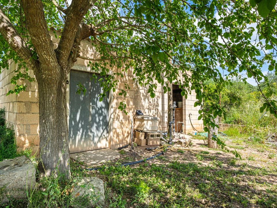 Landejendom i Santa Margalida, Mallorca - foto 1
