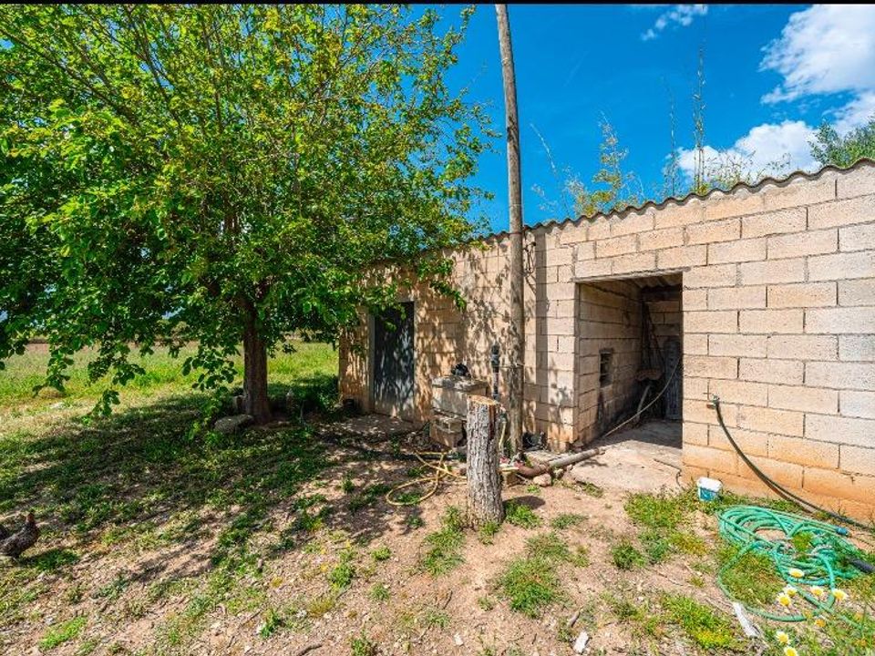Landejendom i Santa Margalida, Mallorca - foto 2