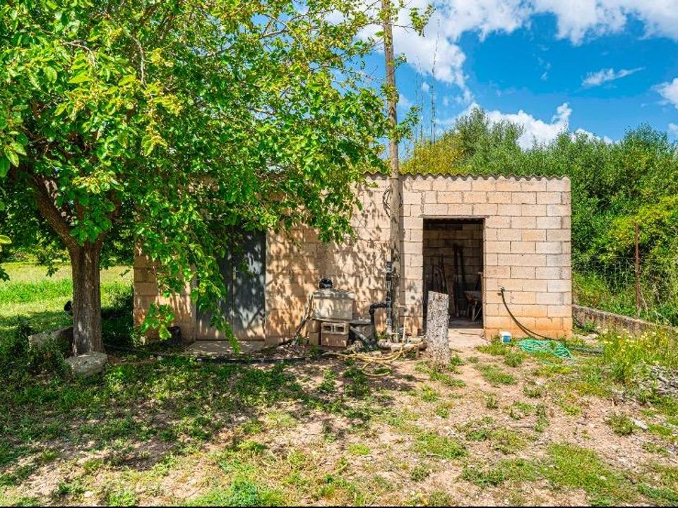 Landejendom i Santa Margalida, Mallorca - foto 3