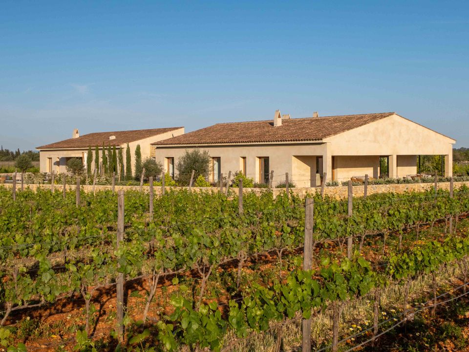 Landejendom i Sencelles, Mallorca - foto 5