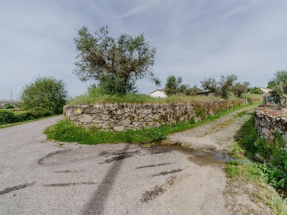 Helårsgrund i Belmonte, Castelo Branco - foto 5