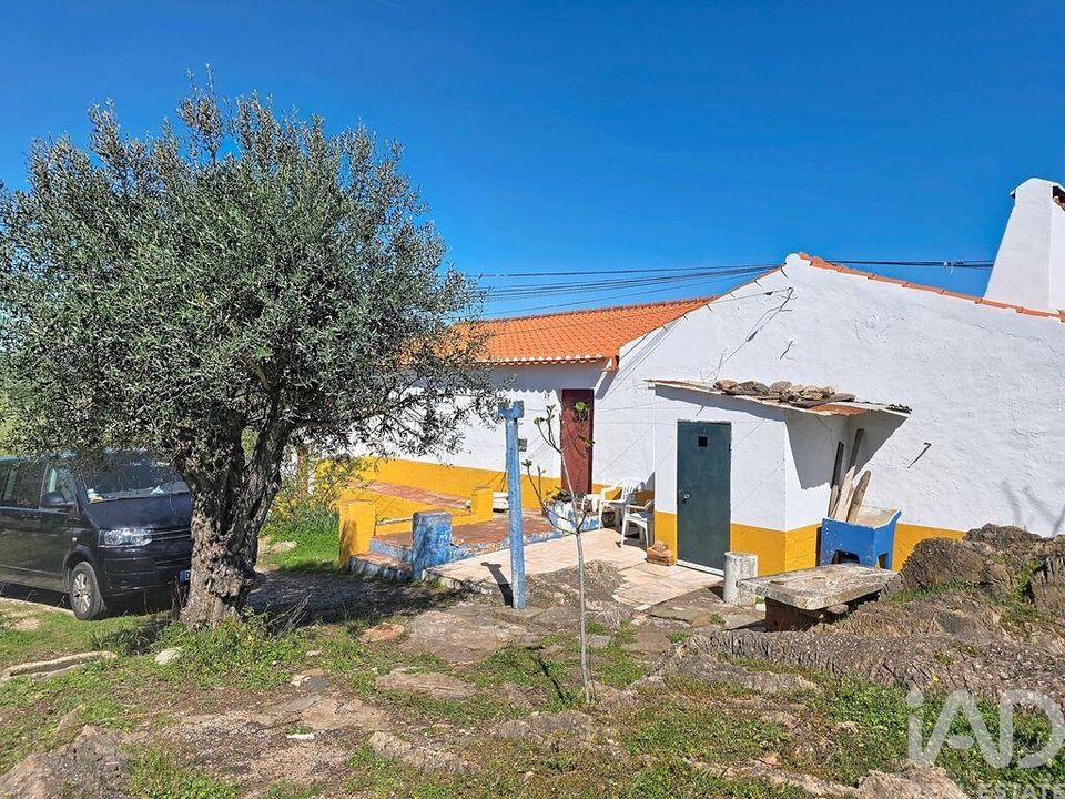 Farm i Borba, Evora - foto 3