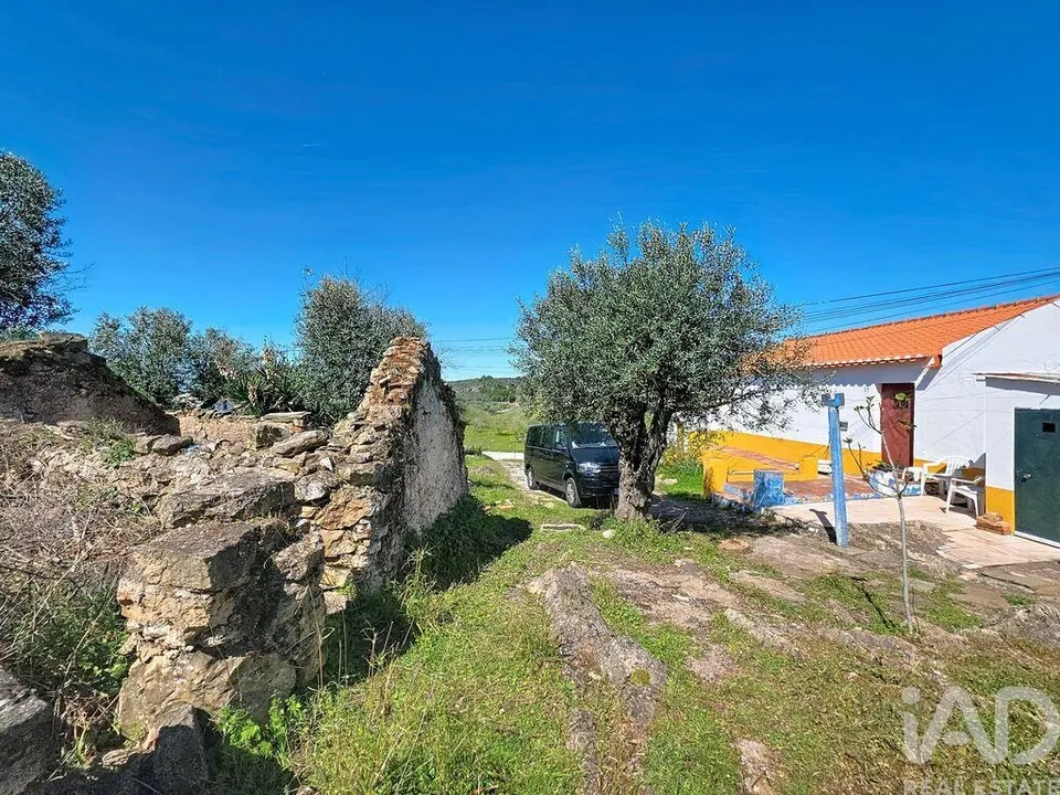 Farm i Borba, Evora - foto 5