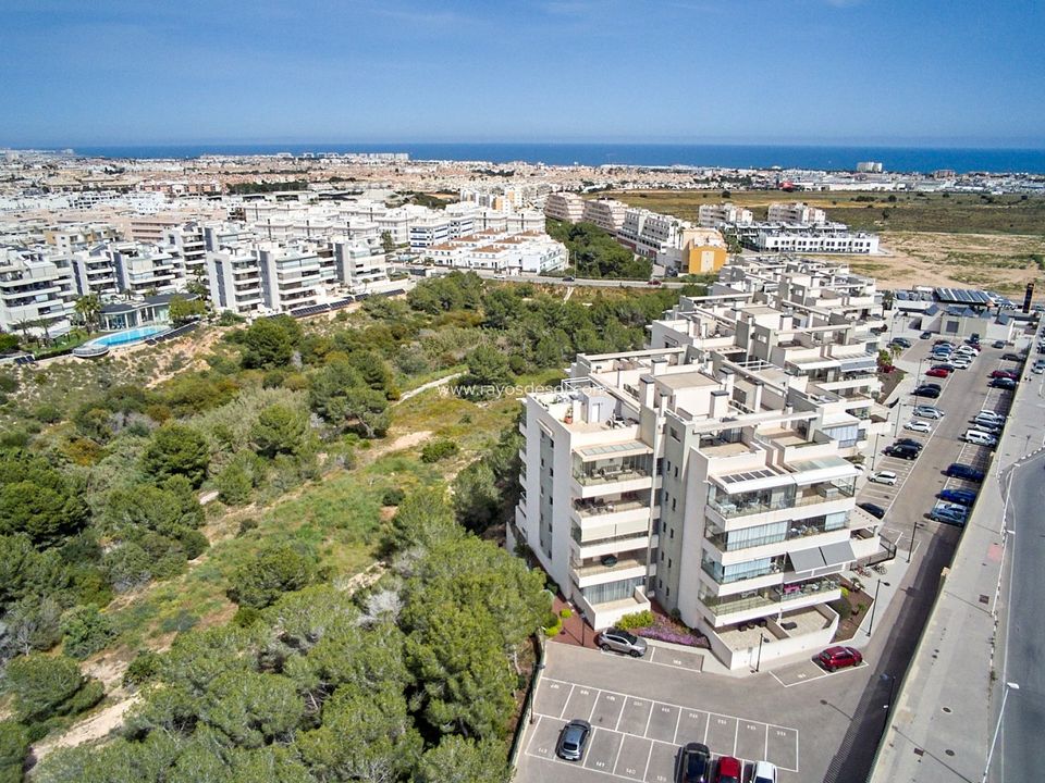 Lejlighed i Orihuela Costa, Alicante - foto 5