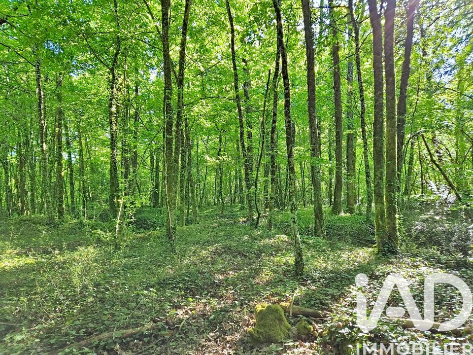 Landejendom i Luynes, Indre-et-Loire - foto 2