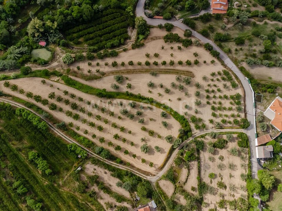 Tomt i Fundao, Castelo Branco - bilde 1