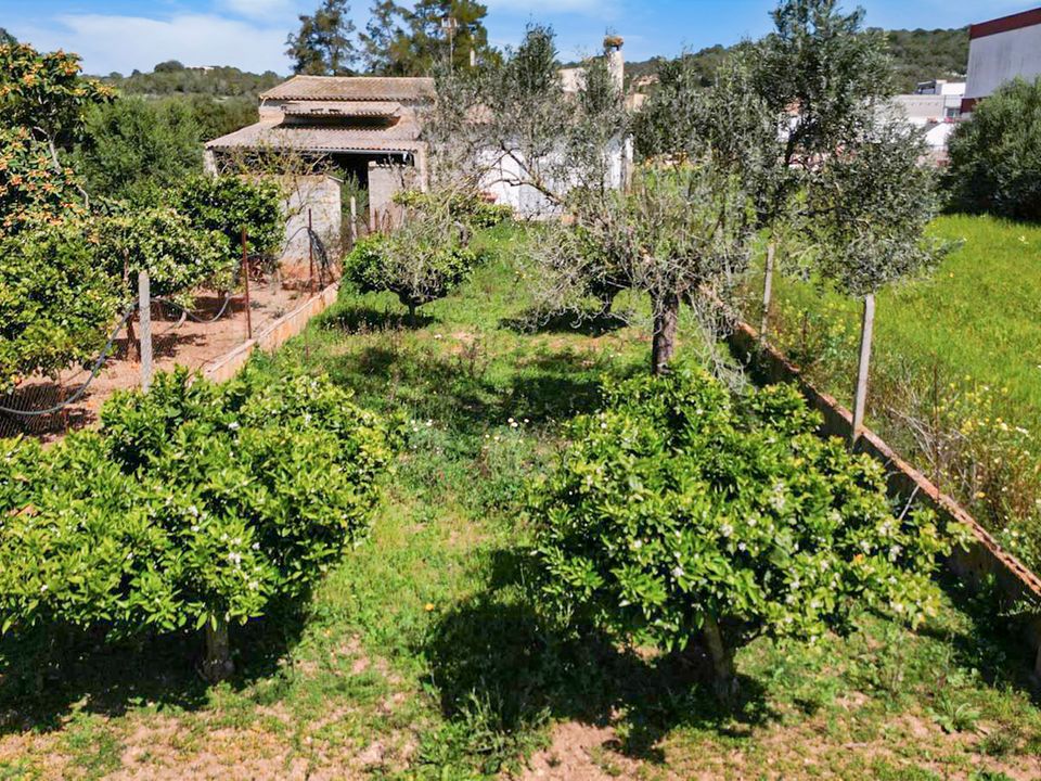 Landejendom i Felanitx, Mallorca - foto 3