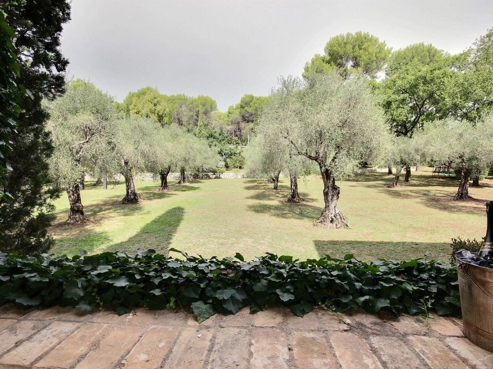 Villa i Valbonne, Alpes-Maritimes - foto 3