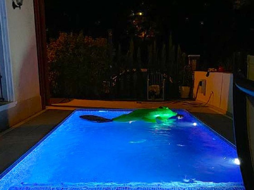Byhus i Dehesa De Campoamor, Alicante - foto 3