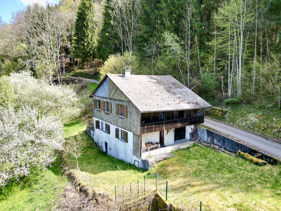 Træhytte i La Vernaz, Haute-Savoie - foto 1