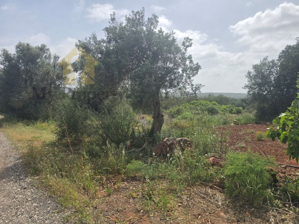 Helårsgrund i Paderne, Faro - foto 1