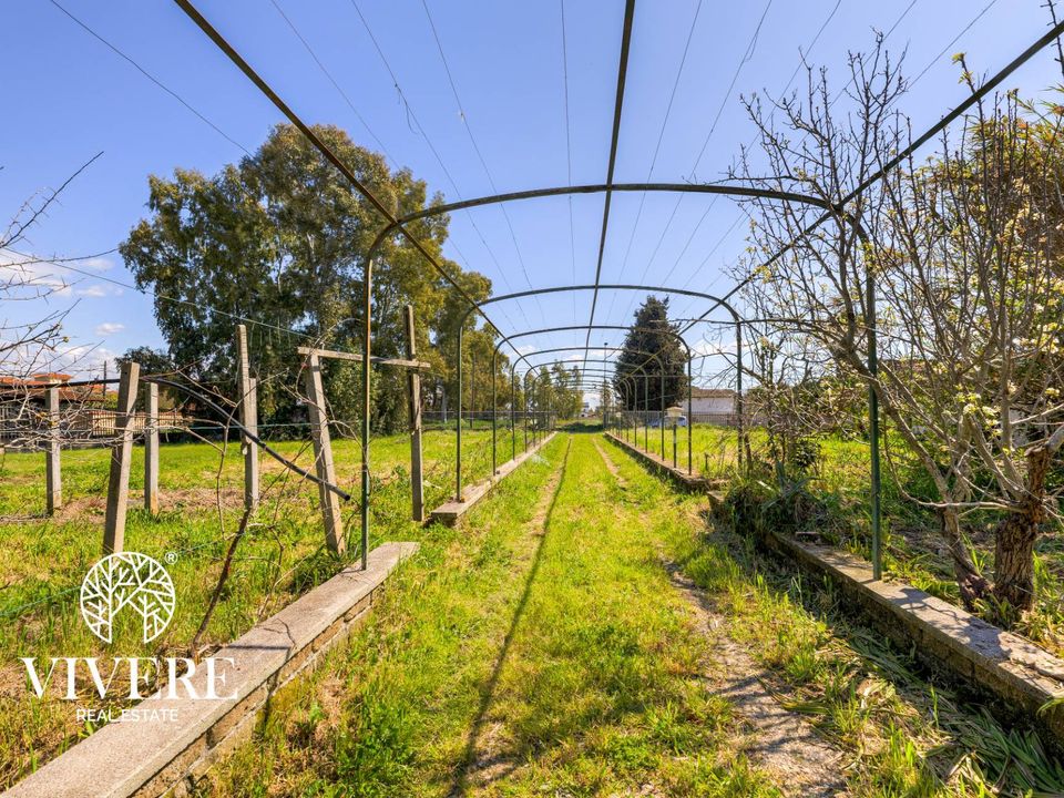 Villa in Aprilia, Latina - photo 3