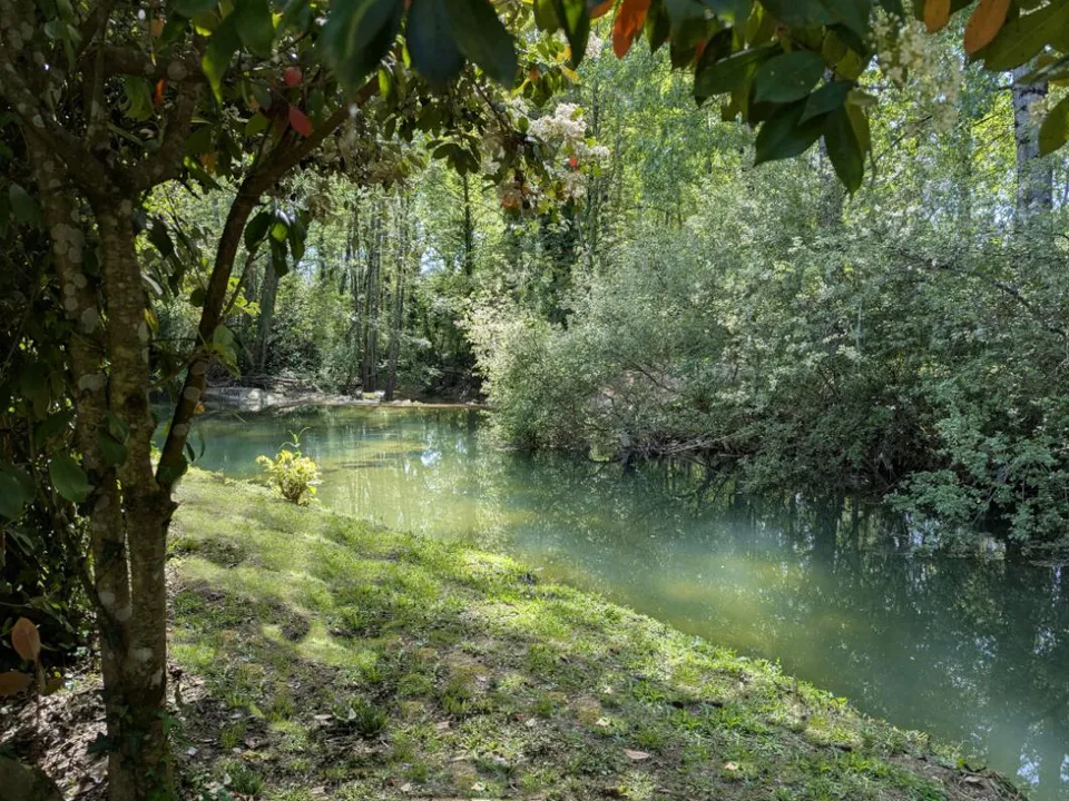 Villa i Bergerac, Dordogne - foto 1
