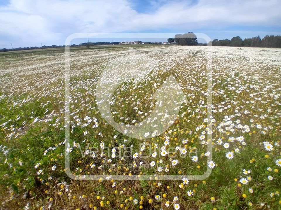 Farm i Montijo, Setubal - foto 2