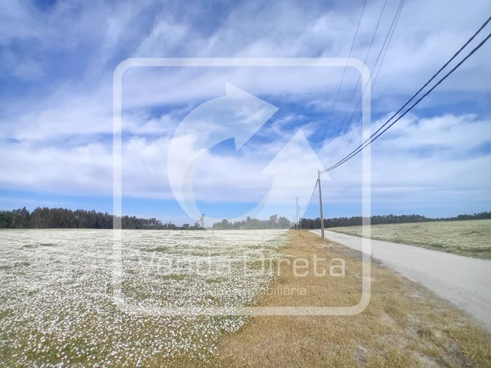 Farm i Montijo, Setubal - foto 3