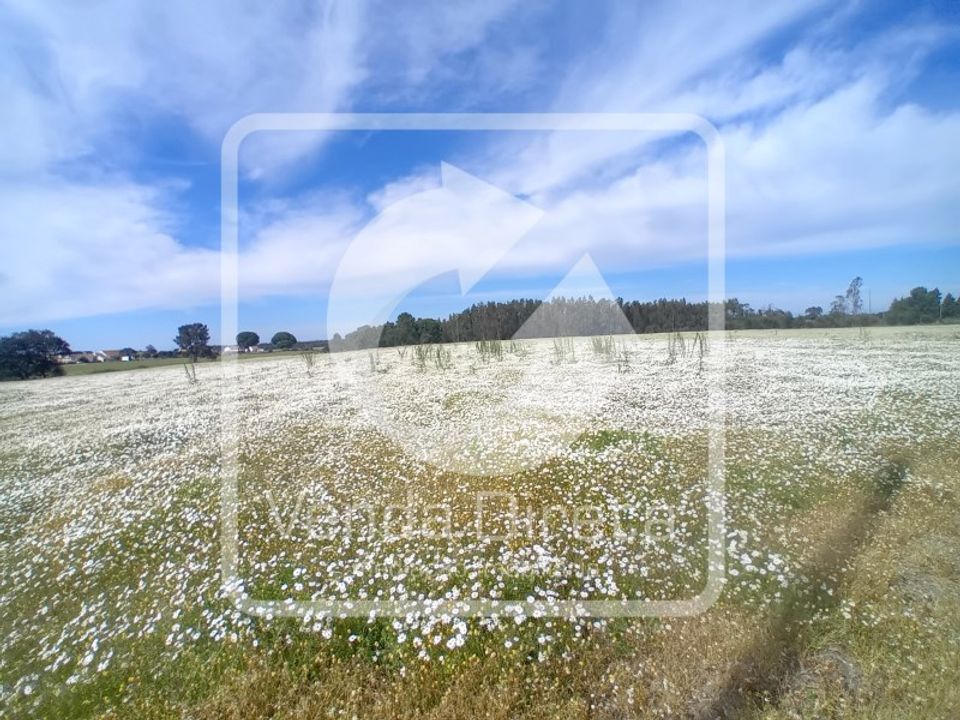 Farm i Montijo, Setubal - foto 4