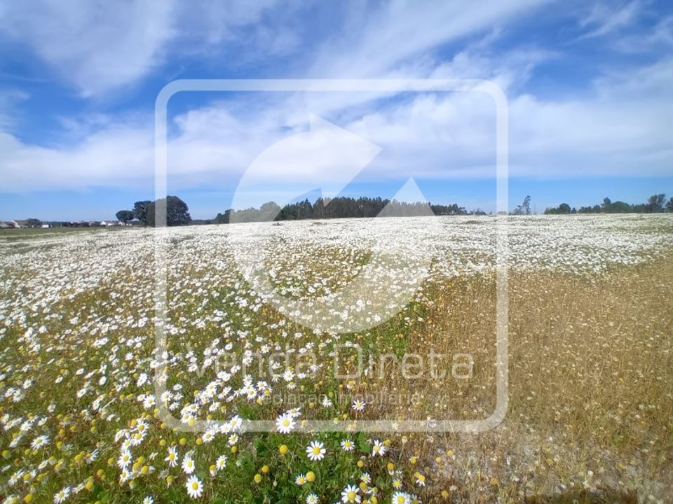 Farm i Montijo, Setubal - foto 5