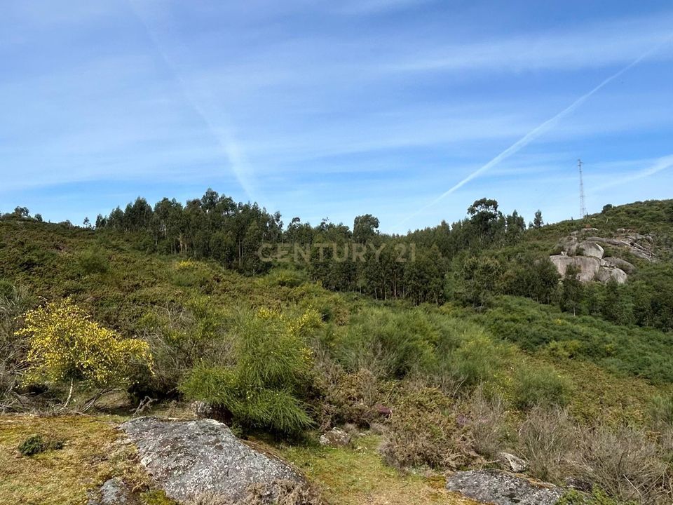 Helårsgrund i Vizela, Braga - foto 1