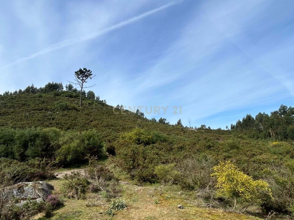 Helårsgrund i Vizela, Braga - foto 3