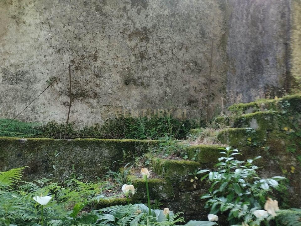 Villa i Ponte de Lima, Viana do Castelo - foto 5