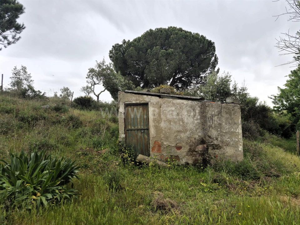 Erhvervsejendom i Nisa, Portalegre - foto 2