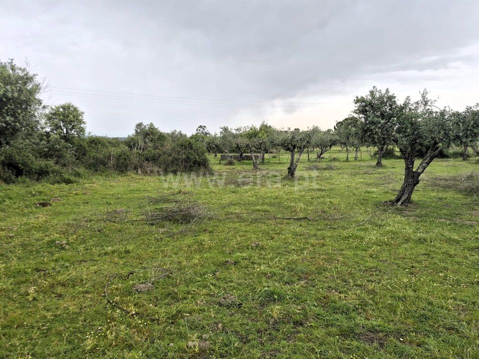 Erhvervsejendom i Nisa, Portalegre - foto 5