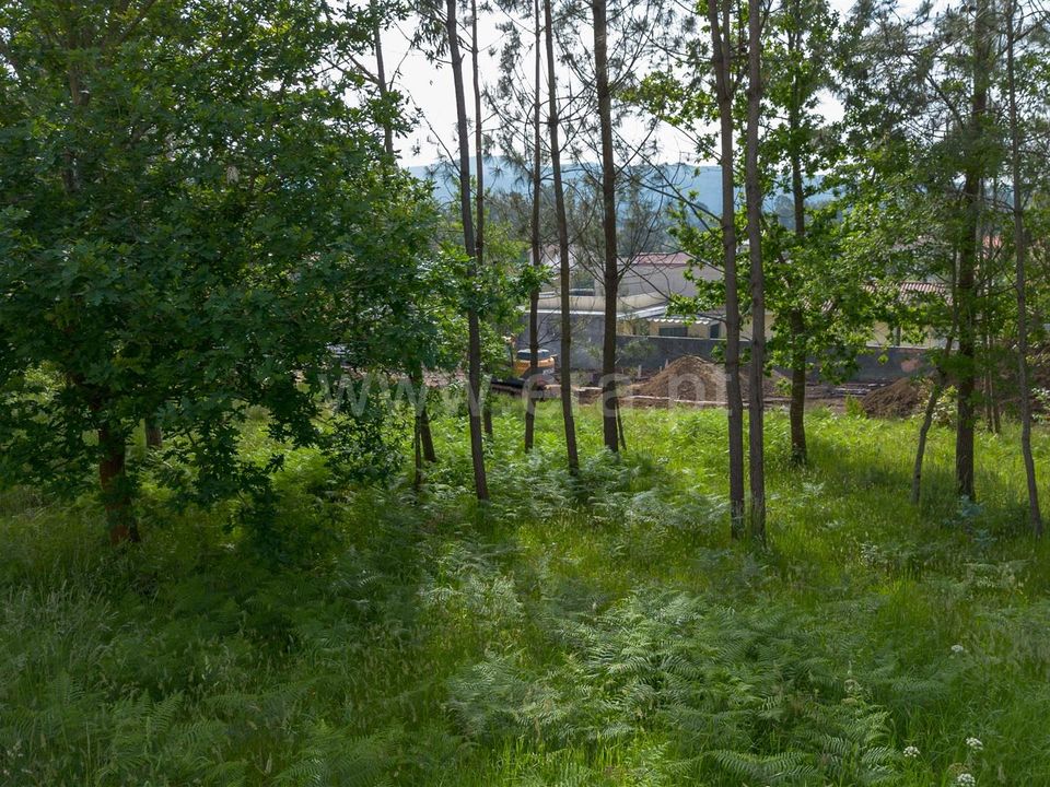 Helårsgrund i Esposende, Braga - foto 4