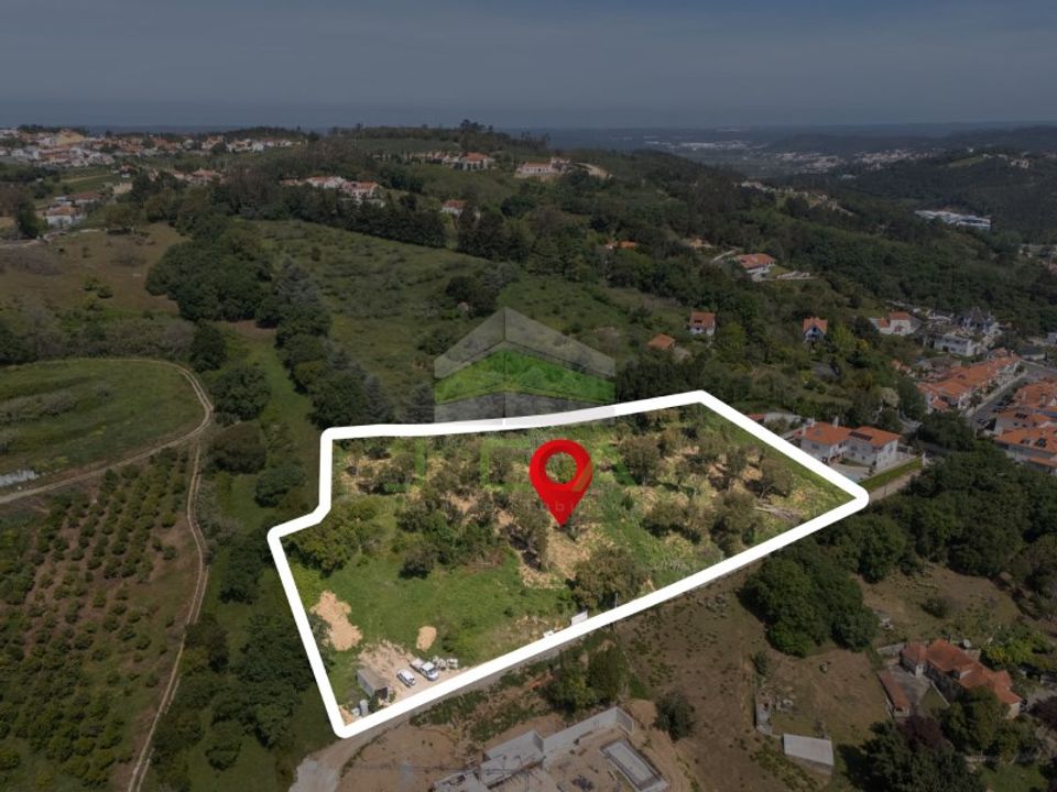 Helårsgrund i Alcobaca, Leiria - foto 2