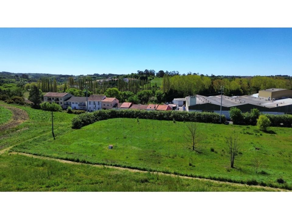 Helårsgrund i Aljubarrota, Leiria - foto 4