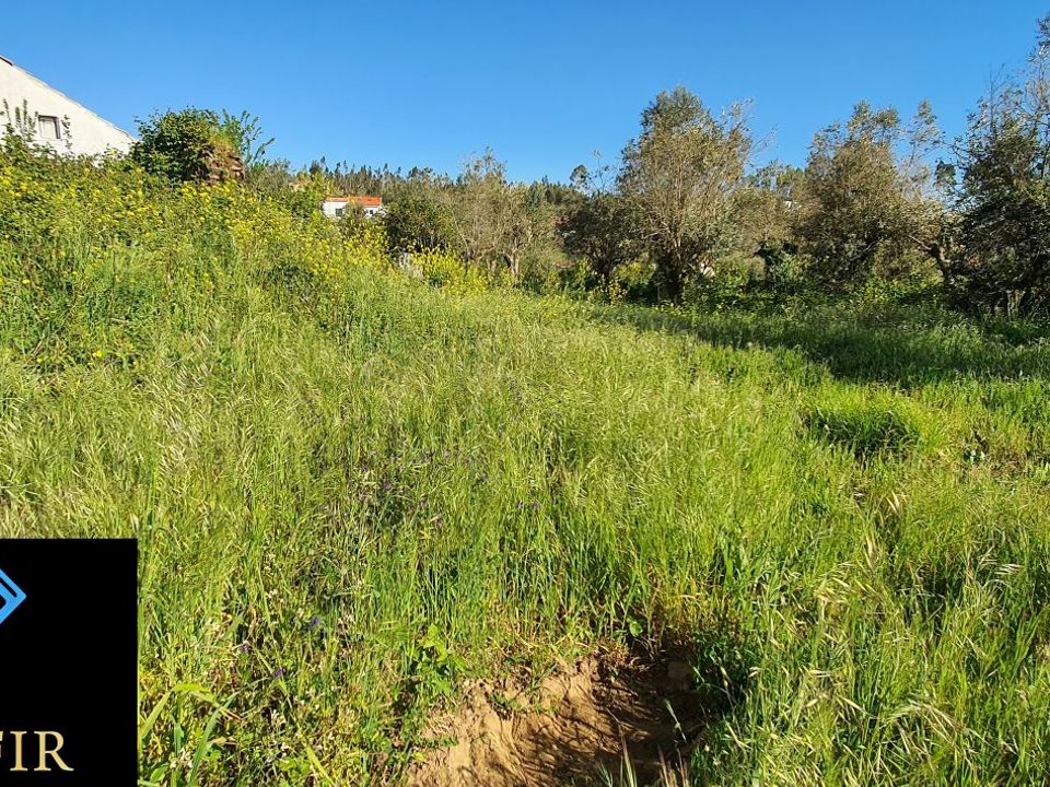 Helårsgrund i Ferreira do Zezere, Santarem - foto 4