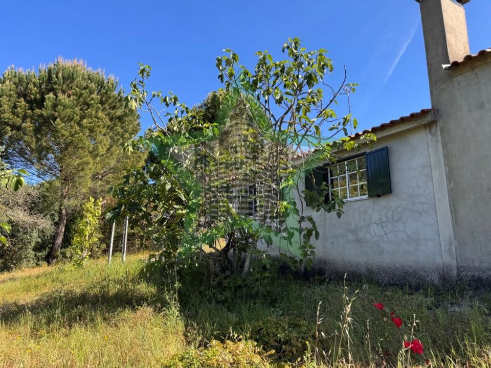 Herregård i Asseiceira, Santarem - bilde 1