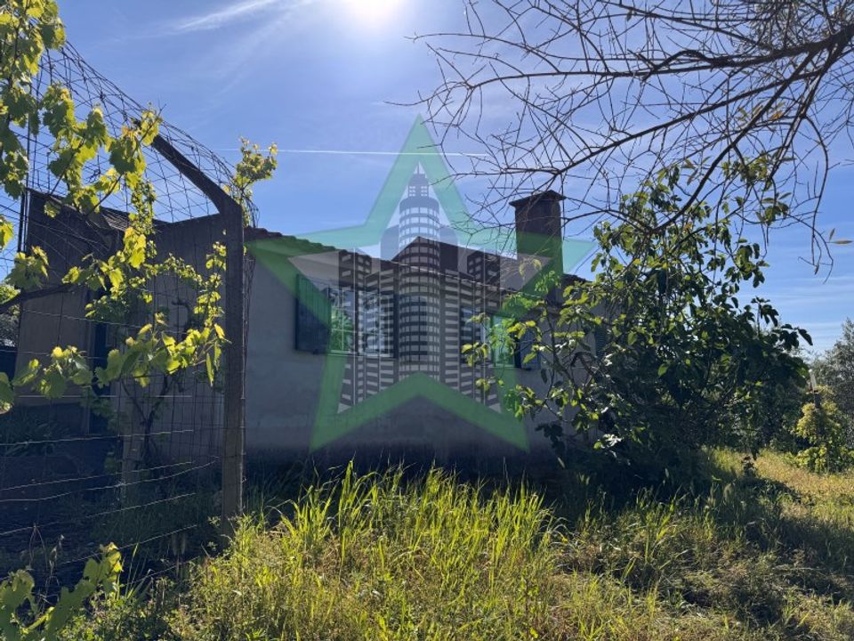 Herregård i Asseiceira, Santarem - bilde 2