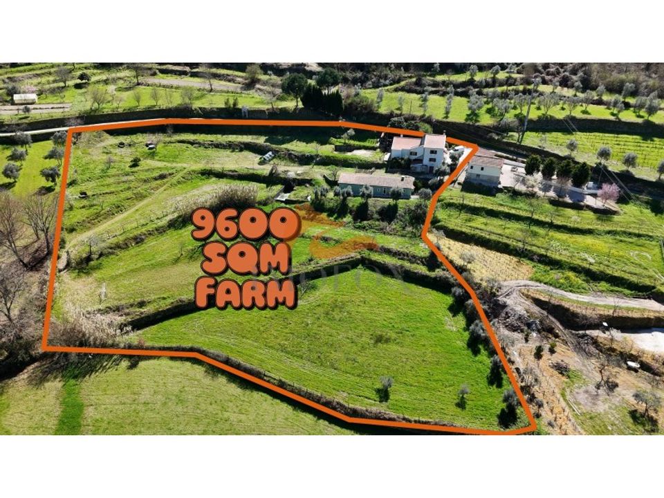 Farm i Oliveira do Hospital, Coimbra - foto 1