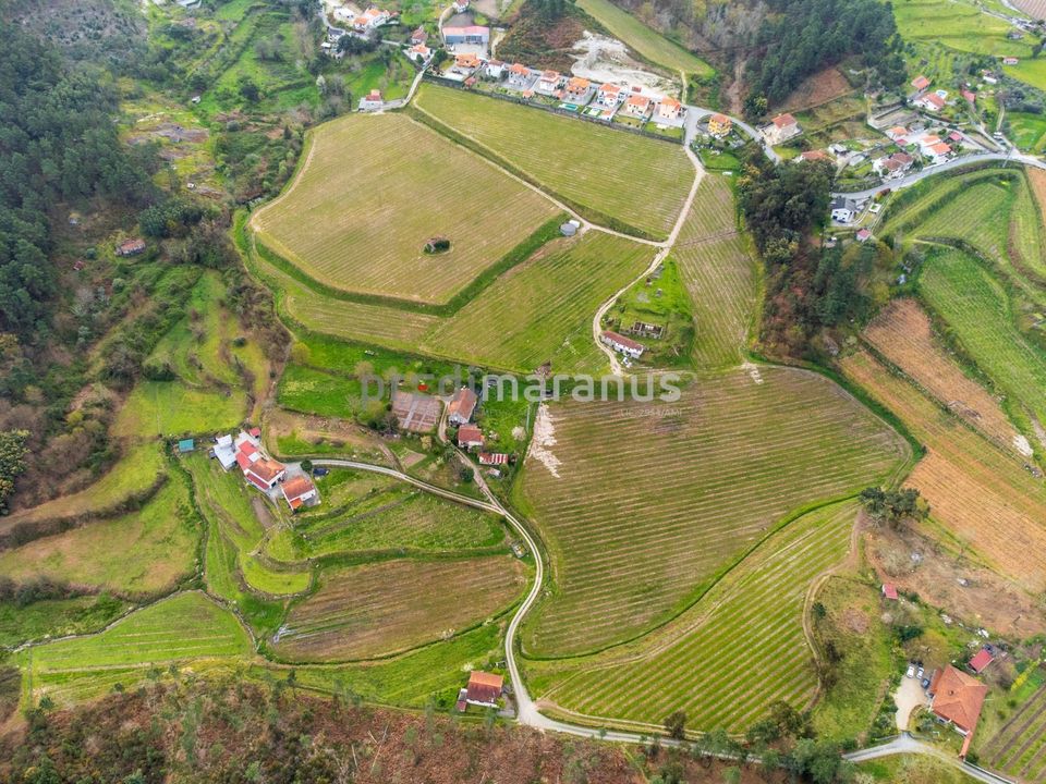 Farm i Amarante, Porto - foto 2