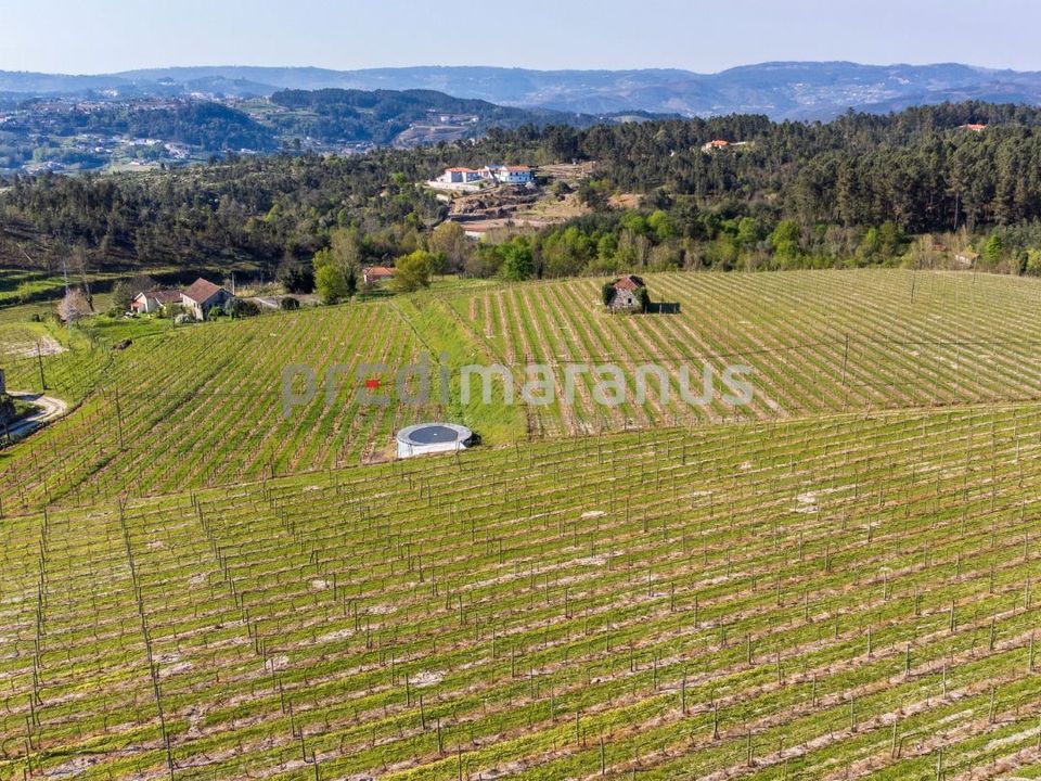 Farm i Amarante, Porto - foto 3