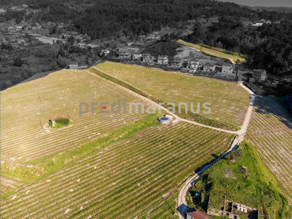 Farm i Amarante, Porto - foto 4